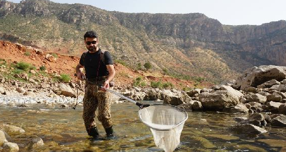 Türkiye'de en son 2012'de görülmüşlerdi! Araştırmacılar "Dünyada hala yaşıyorlar" diyerek Siirt'te soluğu aldılar! 4