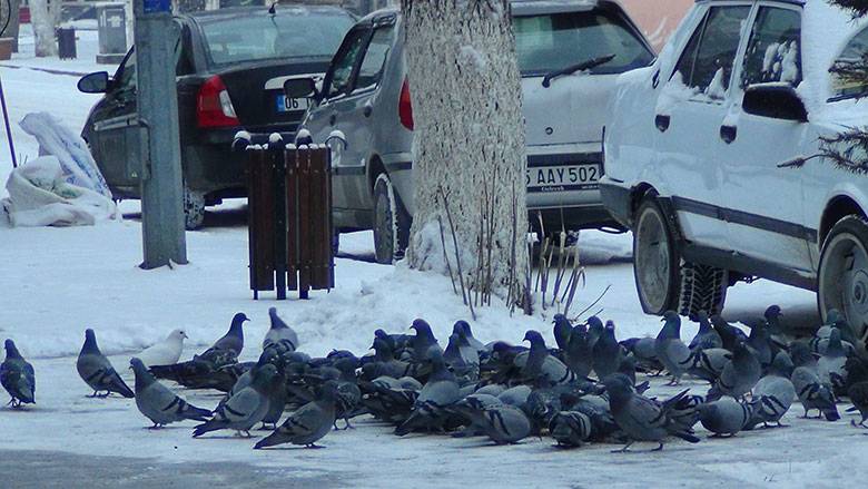 1 aydır heyecanla bekleniyordu! Güne böyle uyandılar 2