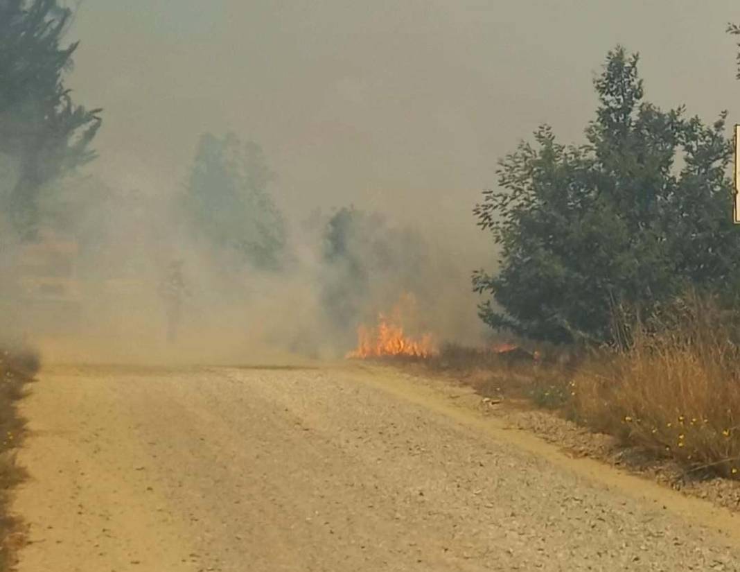 OHAL ilan edilmişti: Şili’deki orman yangınlarında can kaybı 19’a yükseldi! 10