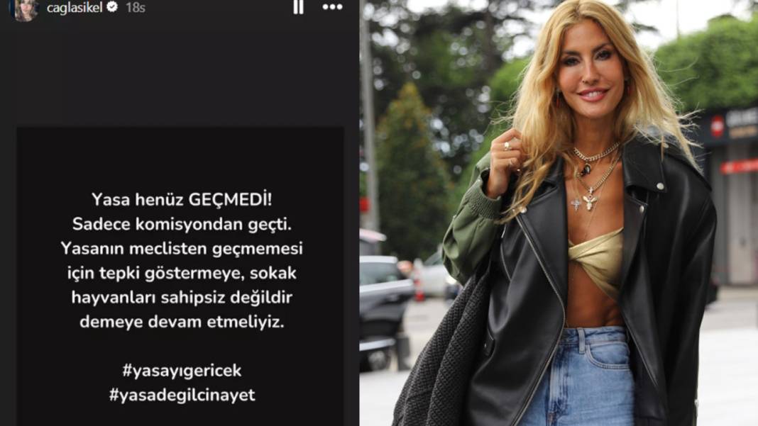 Seren Serengil'den şok açıklama: Çağla Şıkel'i hedef aldı! 5