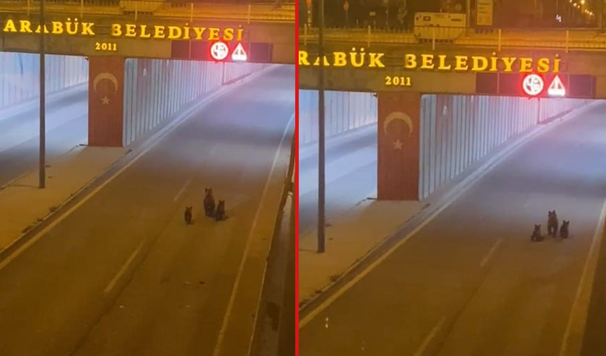 Sabaha karşı ormanlık alandan indiler! Ana yolda görüldüler! O anlar kameralarda