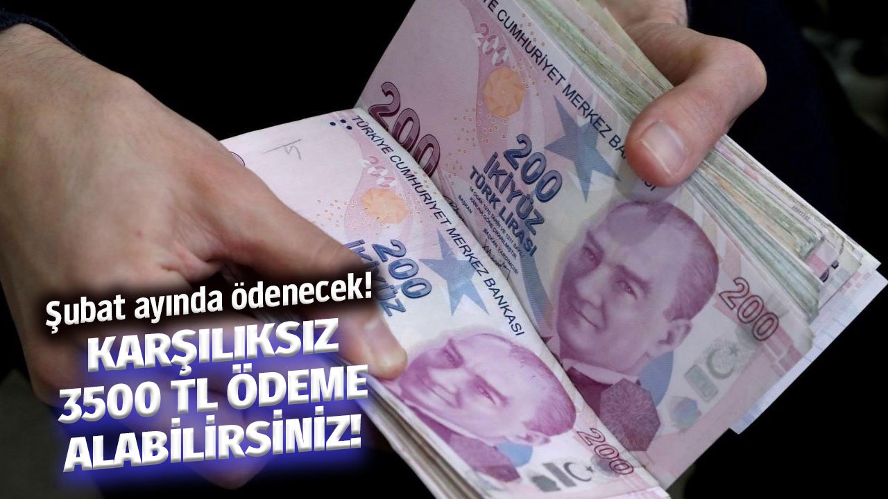 Şubat ayında verilecek! Tek bir başvuruyla karşılıksız 3 bin 500 TL alabilirsiniz!