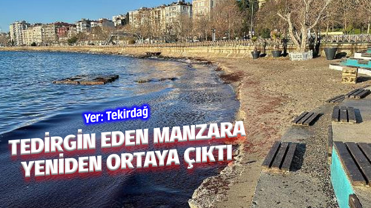 Tekirdağ'da 1 hafta sonra korkutan manzara yeniden ortaya çıktı! Vatandaşlar tedirgin