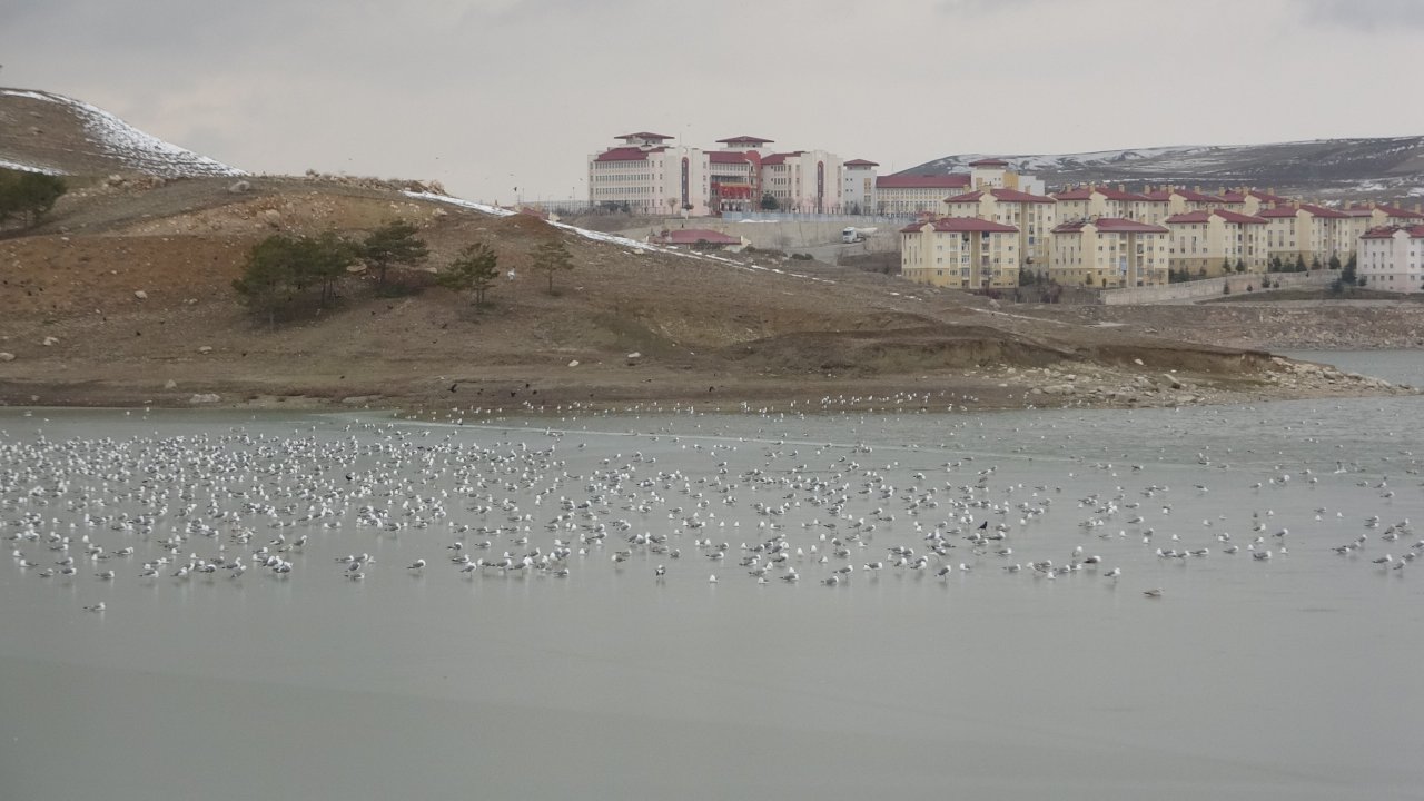 Sıhke Gölü buz tuttu! Aç kalan kuşların imdadına belediye ekipleri yetişti