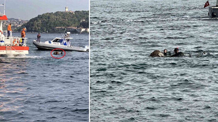 İstanbul Boğazı’nda şüpheli cisim paniği: Mayın sanıldı bakın ne çıktı