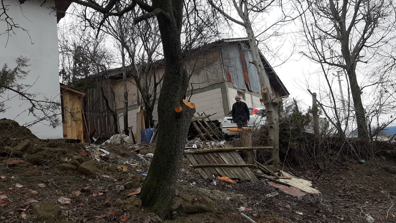 Yer: Bolu! Ağaç budarken kafasına dal düştü, yaralandı