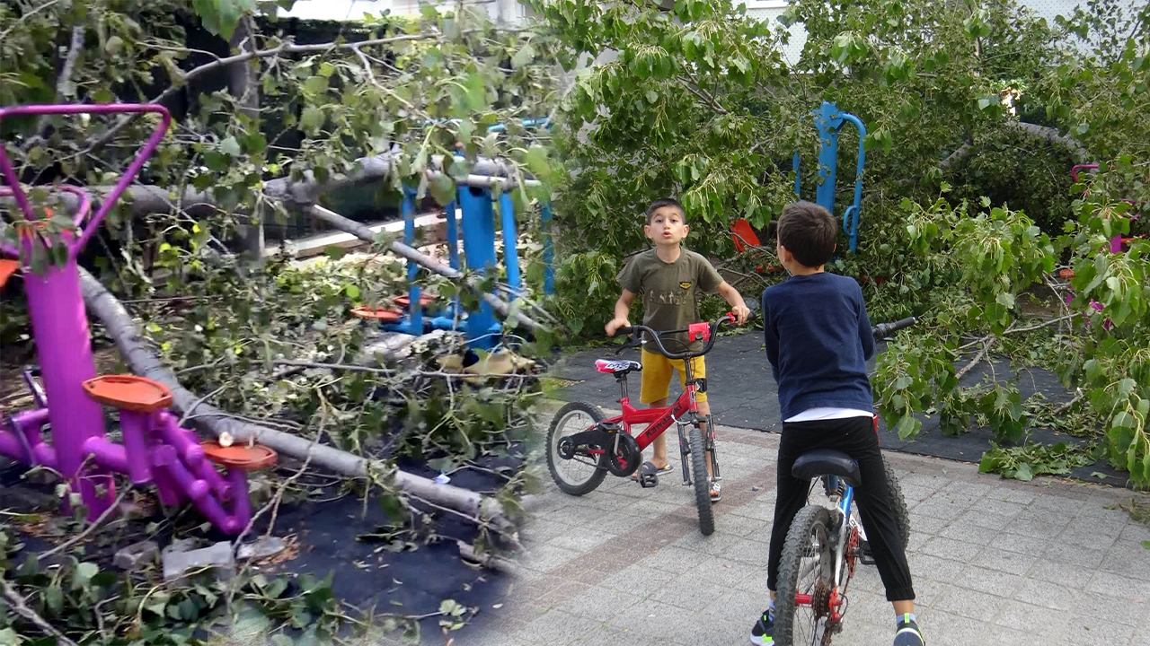 Fırtına nedeniyle İstanbul'da parkta onayan 3 çocuğun üzerine ağaç devrildi