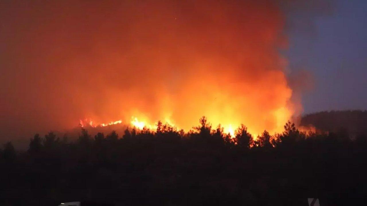 İzmir’de orman yangını büyüyor! Bir mahalle tahliye edildi...