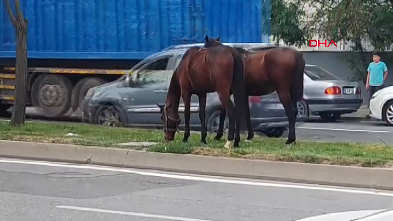 Yer: Avcılar! Refüjdeki manzara şaşkınlık yarattı