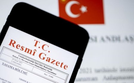 Resmi Gazete'de yeni enstitüler!