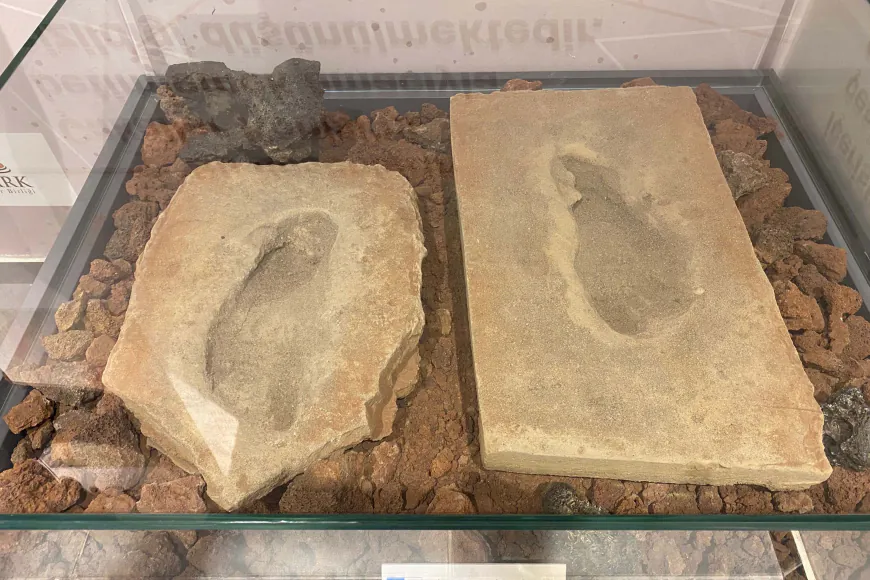 Baraj yapımında keşfedilen 4 bin 500 yıllık fosil ayak izleri, müzede sergileniyor / Ek fotoğraflar