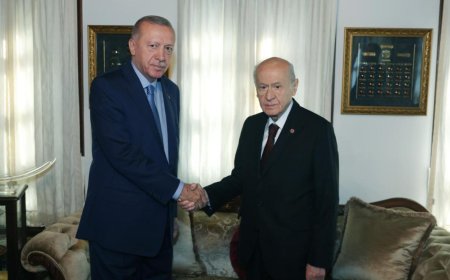 Cumhurbaşkanı Erdoğan, Bahçeli ile görüştü