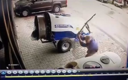 Sokak köpeğini sopayla öldürdü!