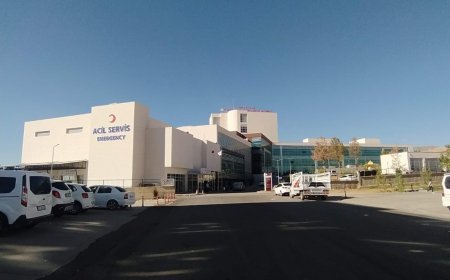 DİYARBAKIR Armut toplarken yorgunun merminin isabet ettiği kadın, yaralandı