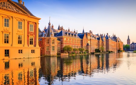 ‘Hollanda, startuplar için en ideal ülkelerden biri’