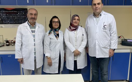 Alzheimer tedavisinde yeni etken madde keşfi