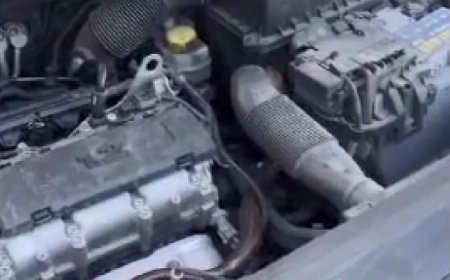 İstanbul - Beykoz'da otomobilin motor kısmına giren yılanı itfaiye çıkardı
