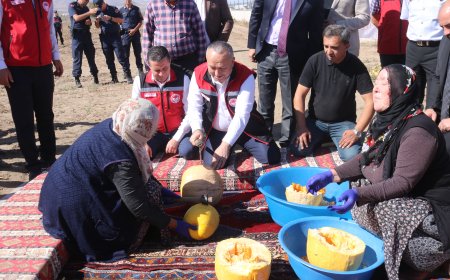 Nevşehir'de çerezlik kabak çekirdeği hasadı başladı