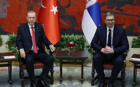 Cumhurbaşkanı Erdoğan, Sırbistan Cumhurbaşkanı Vucic ile görüştü