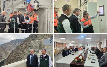 Vali Ergün: Artvin bir hidro-su, yeşillik ili