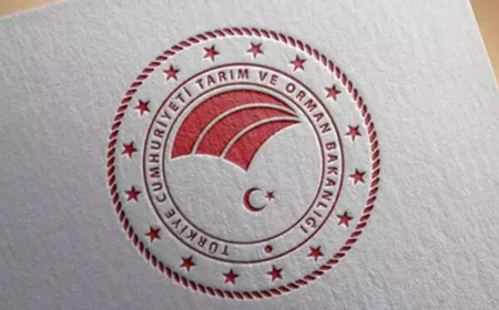 Bakanlık: 185,7 milyon lira tarımsal destekleme ödemesi çiftçilerin hesaplarına aktarıldı