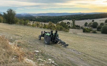 Devrilen traktörün altında kalan sürücü öldü