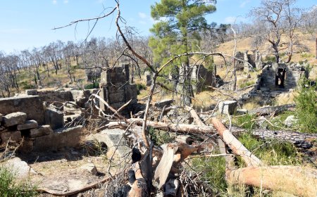Büyük Manavgat yangınında zarar gören ağaçlar, antik yapıların üzerine devrildi