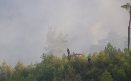 Muğla'nın 2 ilçesinde orman yangınlarına müdahale sürüyor (2)