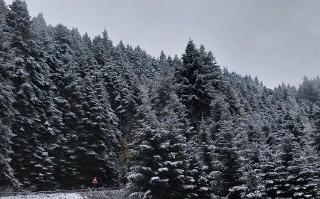 Bolu’nun yüksek kesimleri beyaza büründü