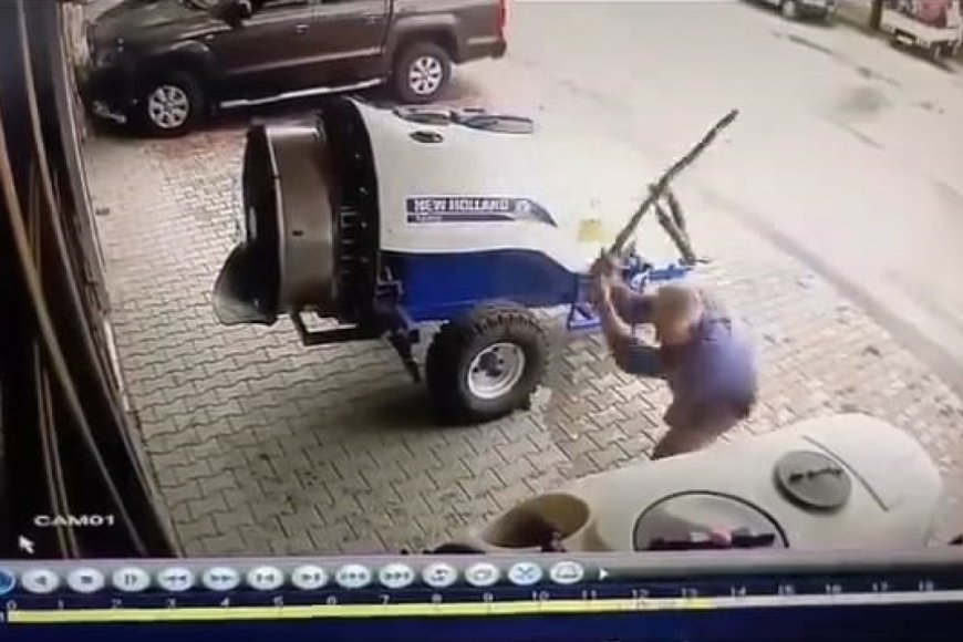 Sokak köpeğini sopayla öldürdü!