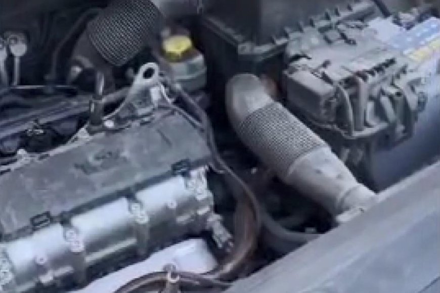 İstanbul - Beykoz'da otomobilin motor kısmına giren yılanı itfaiye çıkardı