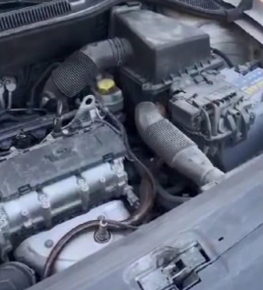 İstanbul - Beykoz'da otomobilin motor kısmına giren yılanı itfaiye çıkardı