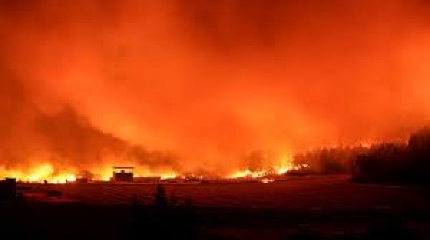 İletişim Başkanlığı'ndan yapılan açıklamada, son 10 gün içinde çıkan 761 yangının tamamının söndürüldüğü bildirildi.