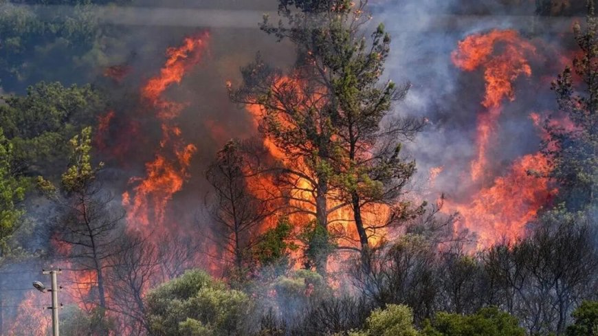 İletişim Başkanlığı'ndan yapılan açıklamada, son 10 gün içinde çıkan 761 yangının tamamının söndürüldüğü bildirildi.